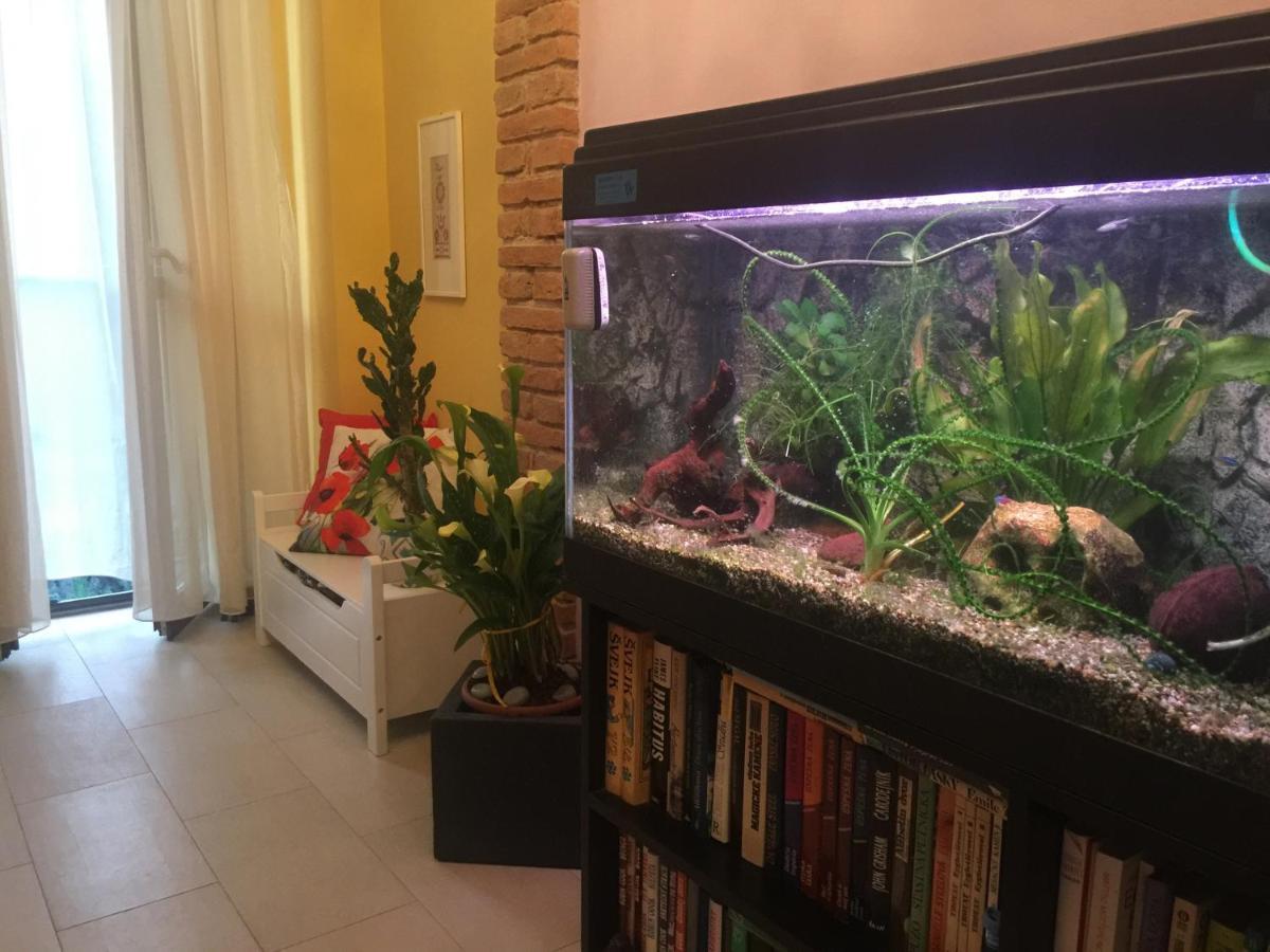 La Casa D'artista Alojamento de Acomodação e Pequeno-almoço Ortignano Raggiolo